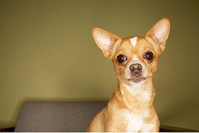 又能见到咪普利老师 多个线索暗示《健身环大冒险》要出续作